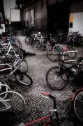 biciclette_ACAF.jpg