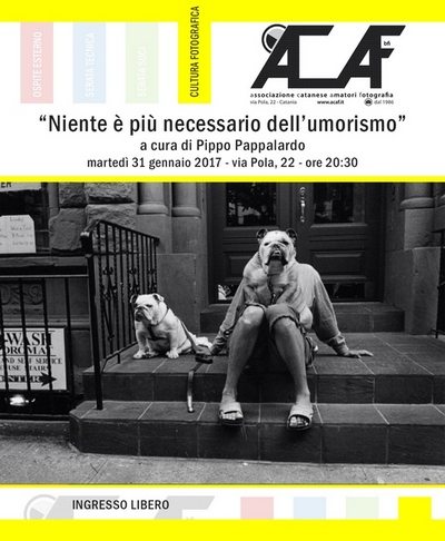 martedi_giallo_umorismo_400.jpg